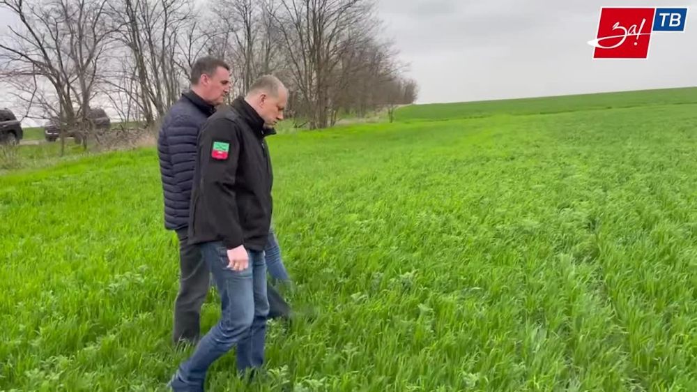 � ����������� ������� ������ ����� ���� �������� �������� ��������