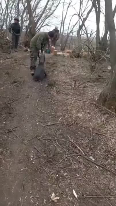 ���������� ������� �������� ������� ����� �� ����� ������� � ����������� �������