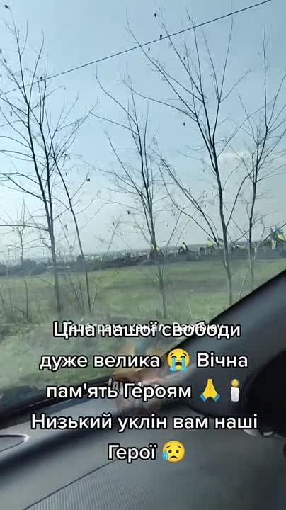 ������ �������: �������� �������� ��������������� ��������� �� �������� �������������� �������� ���������� ����������� �������