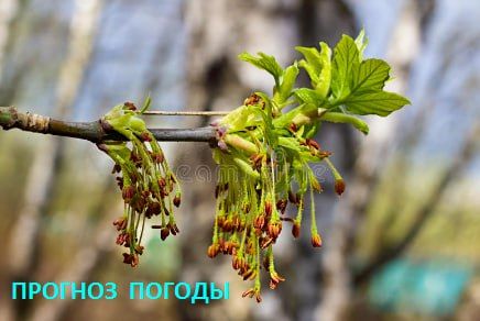 ��������� ��������, ��� ������� ������ ����� ���� ��� ���������� �� ���, ������� ���� �����