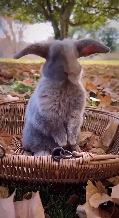 ������� ������ �� 17 ������