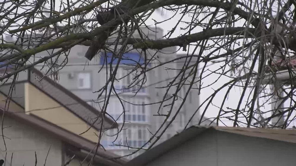 � ��������� ���������� ����������� ��������� ���������� ��������� ����������