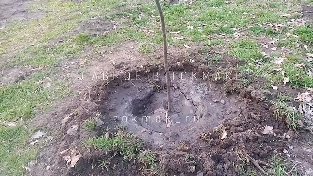 ����������� ������� ��������� ����������� ���������