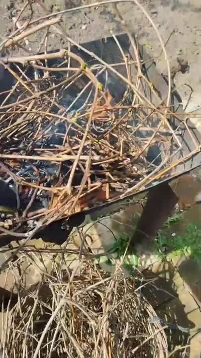 � ���������� �������� �� ������� ���������� ���-�������� ��������� �������