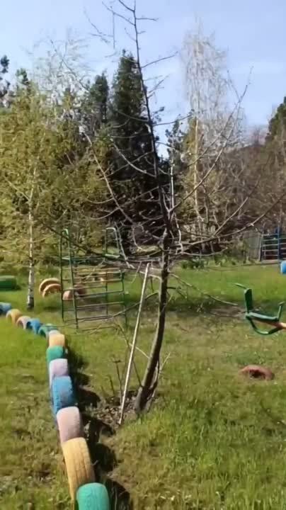 ������� �������: �����... 36 ��������� ��������� ������� ��� "����" �� ����������� ����������. ������� 15 ������ �������