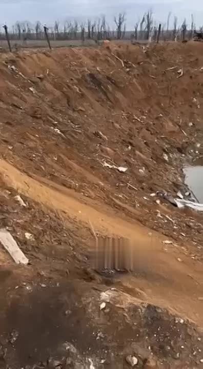 ������ � ������ ����� �����: ������ ������ ��������� ������� ���������� ������� ����� �� ����� ������