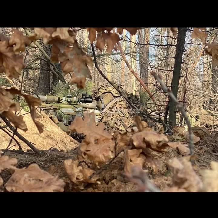 ������ � ������� ���������� �������� ����� �����