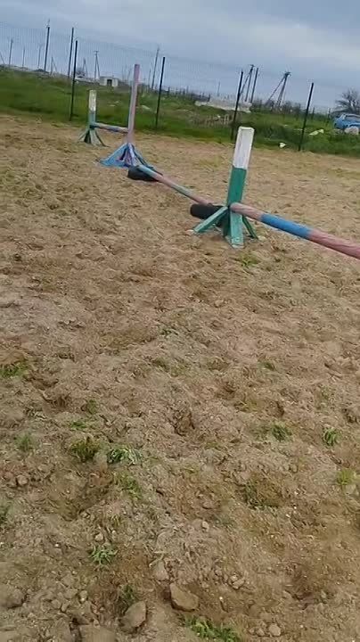 ���,,����,,. ���������� �������� ����������