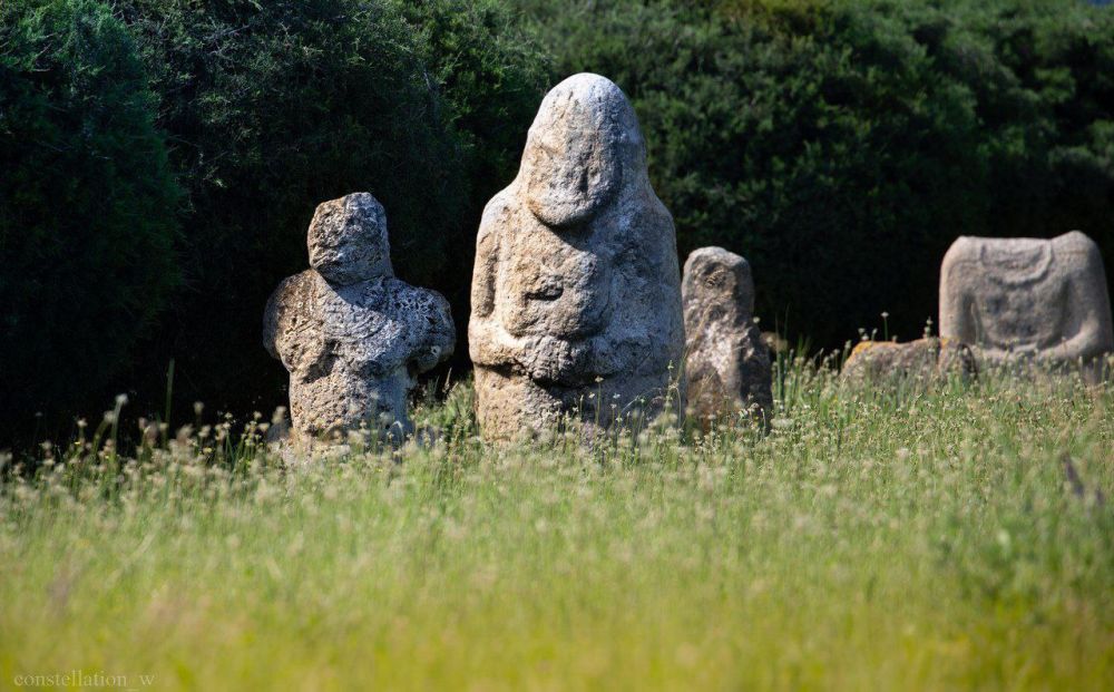 � ����������� ������� ������ ������������� ����� "���� ������"