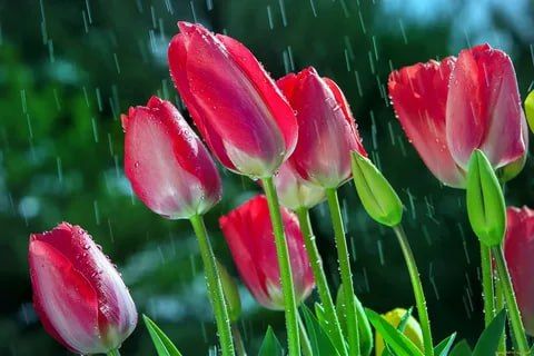 � ������ �����, ����� ����������� ���� ����� ����� � �������, ����� ������� �������������� � �������, ����� ��, ��� ������������, ����� �������!