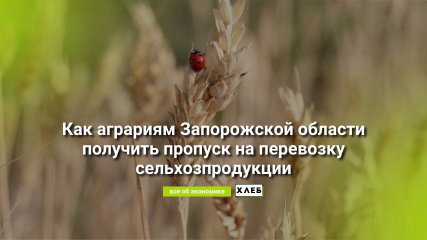 � ������������ ��� � ����������������� �������� ����������� ������� ����������, ��� �������� �������� ������� �� ��������� ����������������: