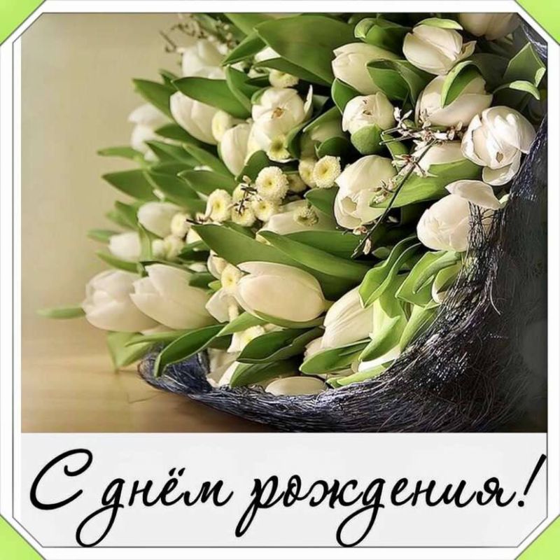 ��������������� ������������� ��������� ��������� ������� �������� ��������� ��������� ������� ���� 97-�����!