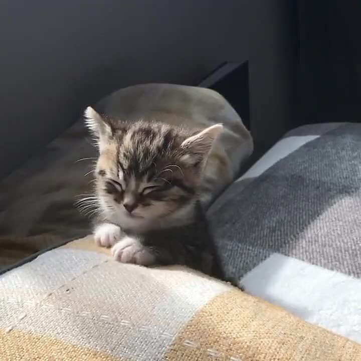 ���� ������� ����, � ����� ����