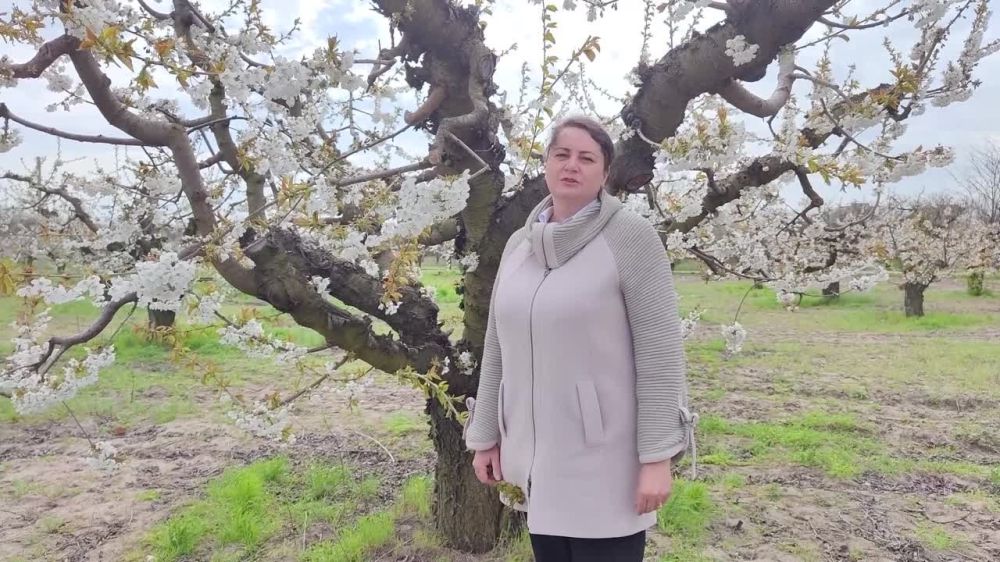 �������������� ������� ������������ ������������� �� �������