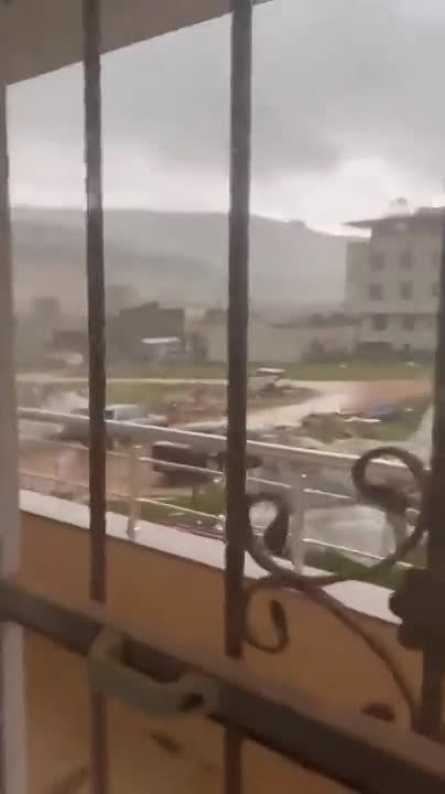 ������ ����� ������ ������������ �� ������������� ��������� �������������