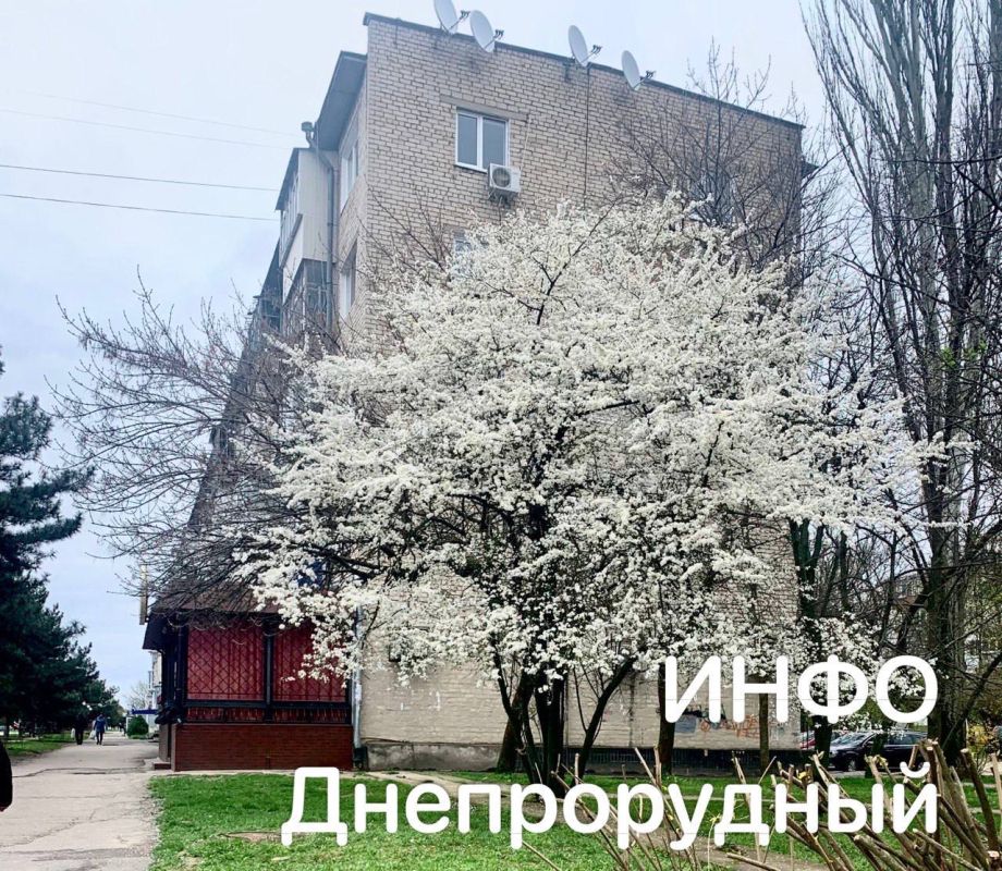 � ������ �����, ��������������! ����� ����� ���� ���������� � ��������� ����������, �����, ������� � �������! ������ ������ ���������, ������ �������� ���� � ������� ������������ �����!