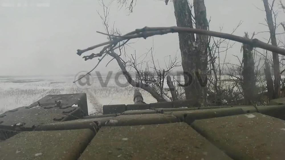 ����� �����: ��������� � ��� ���� �� ����������� �����������