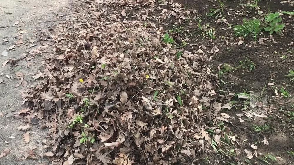 ������������ ������� ������� �� ������������� ����������
