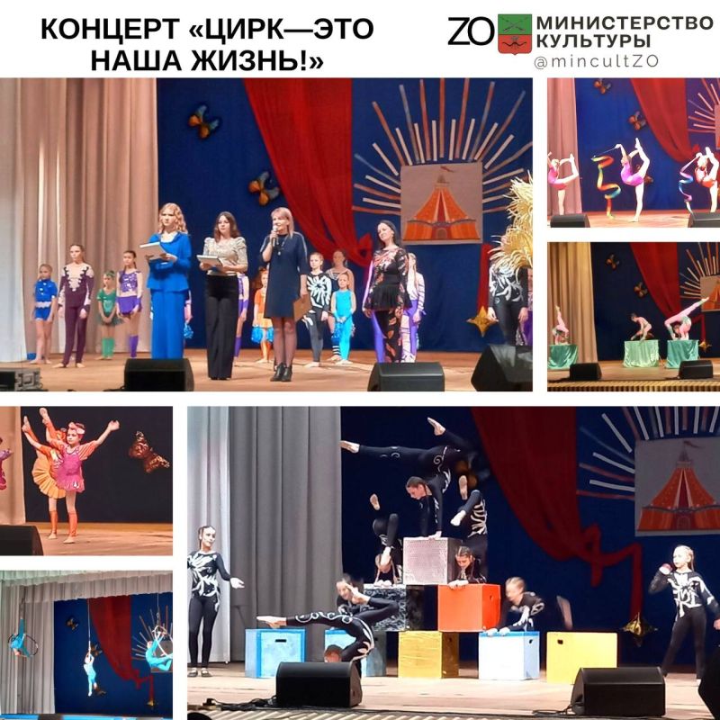 � ���� �������� ������� �. ������������, ������ ������� �����-��� ���� ������