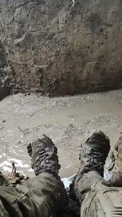 ����� �����: ����� ��� �� ����������� �����������