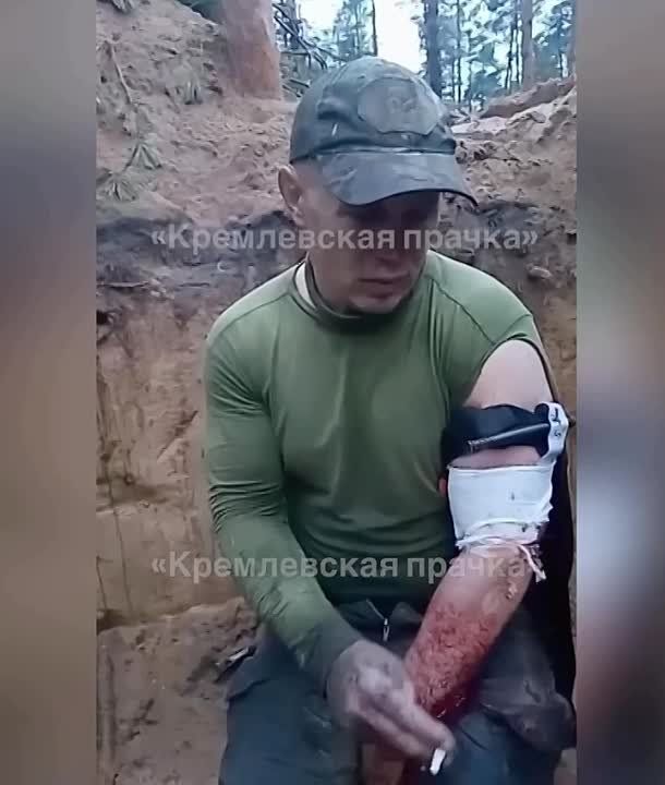 ������ �������� 24-� ������� �������� �� �� �� ������������ ��� 100-� ������� ��������������� �������