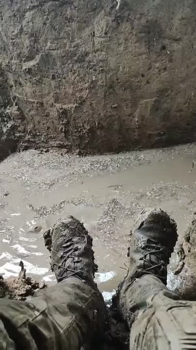 ���� ��������: �� ������� ��������, ��� ������ ������ ������ �� ������ �����������������