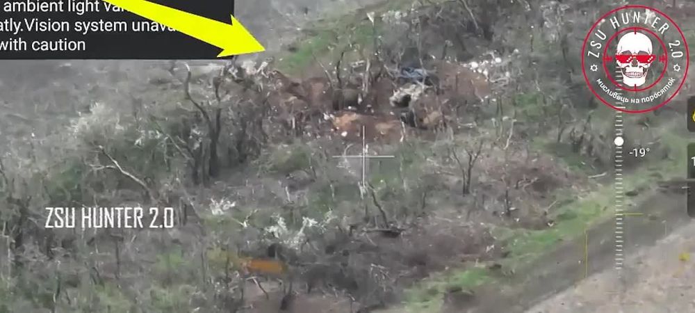 �� ����������� ����������� ��� ���������