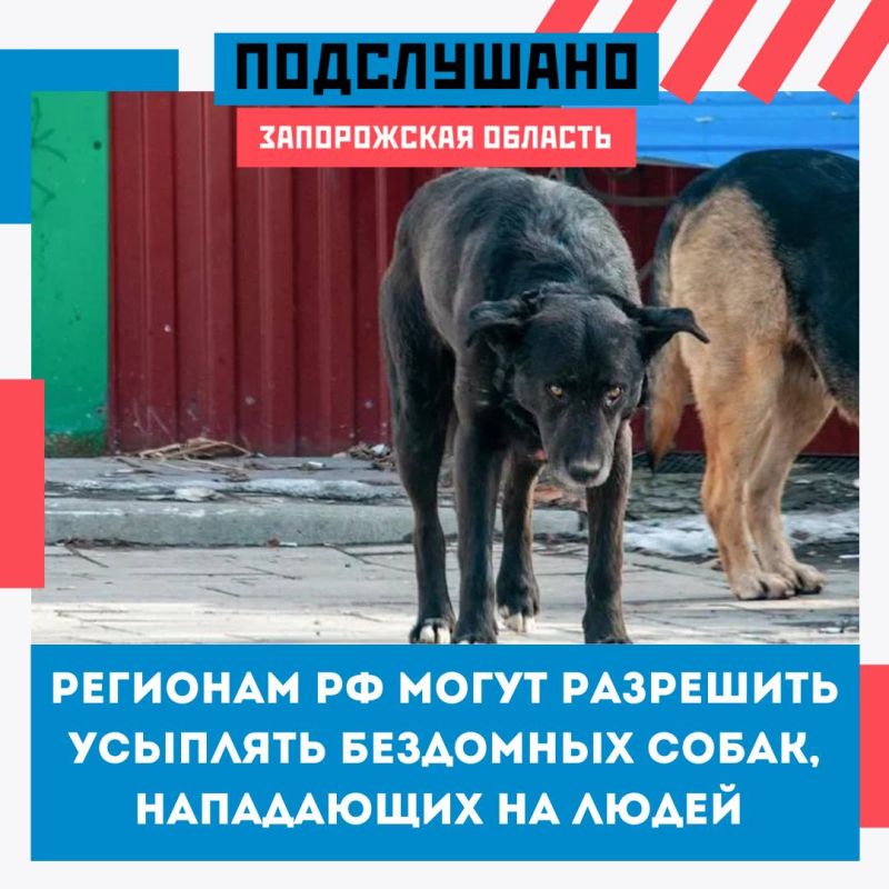 � ������� ����� ��������� �������� �������� ��������� �����