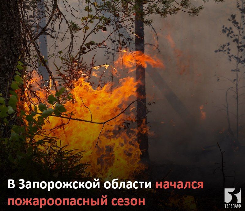 � ����������� ������� ������� ������������� �����