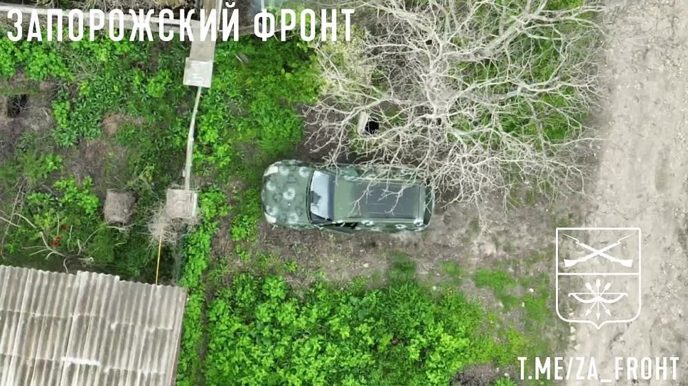 ���� ����� ���������� ������� �� ��������� ��� � ������������ ����� ���������� ���������� � ��������
