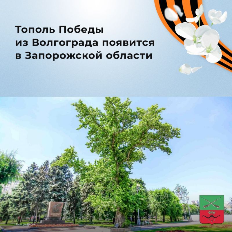 � ����������� ������� �������� ������� ������������ ������ ������