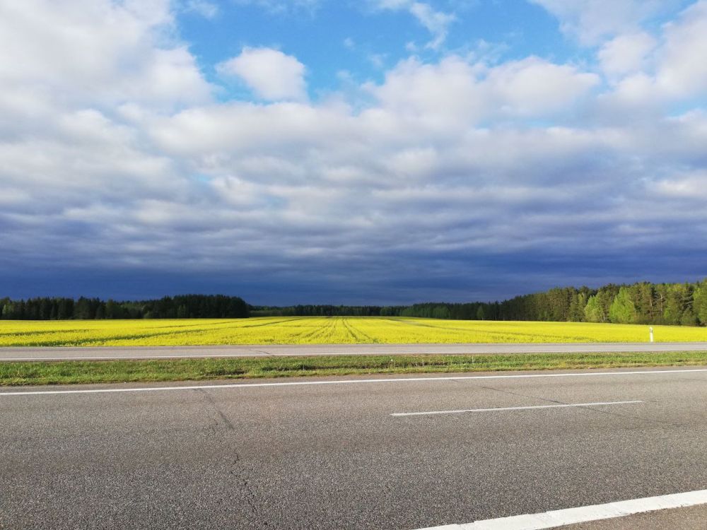 � ����������� ������ ������������� �������� ������