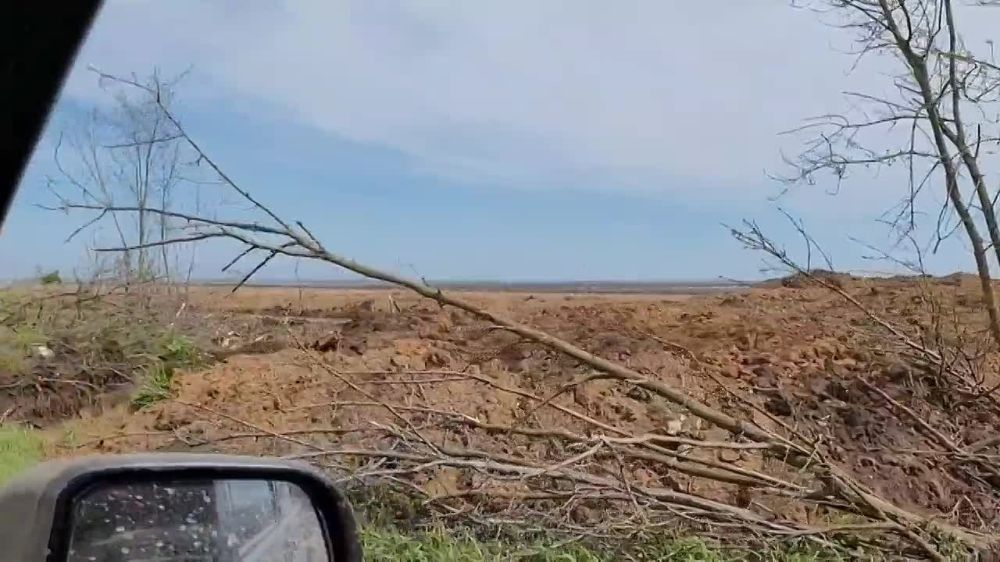 ������� �������: �� ���������� �� ����������� ������ �������� ����������� ���