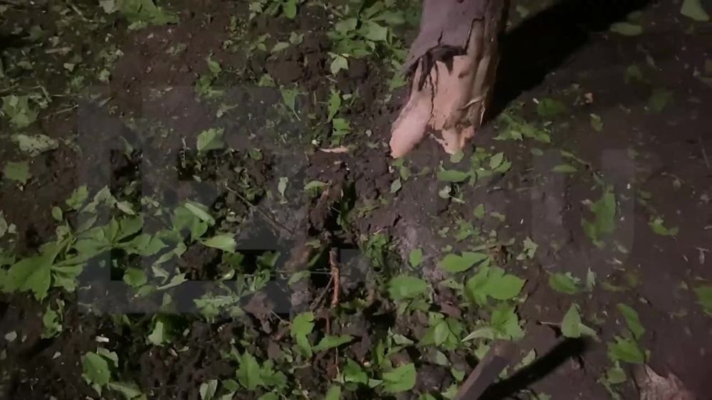 ����������� �������� ���������� ��������� ������� 27 ������ � �������� ������ ���� � ����������