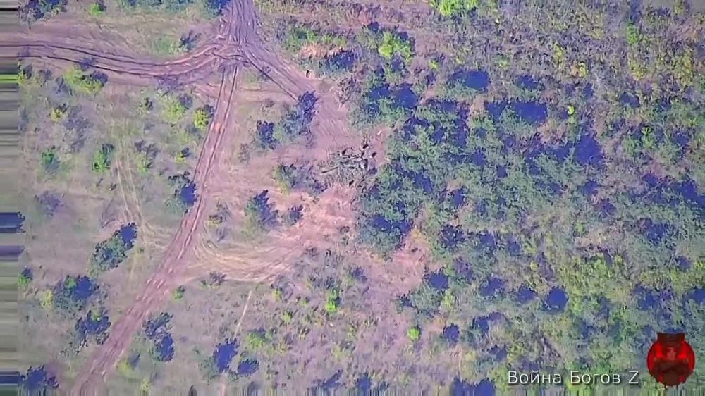 Андрей Руденко: Уничтожение американской 155 мм гаубицы M777 в районе населённого пункта Преображенка Запорожской области области