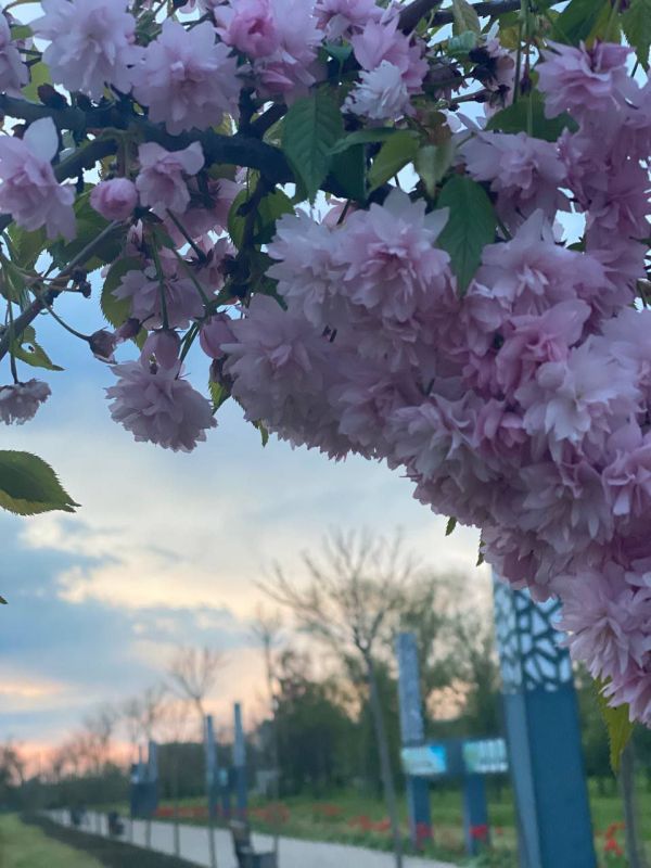 � ���������� ����� �� ��� ����� ������