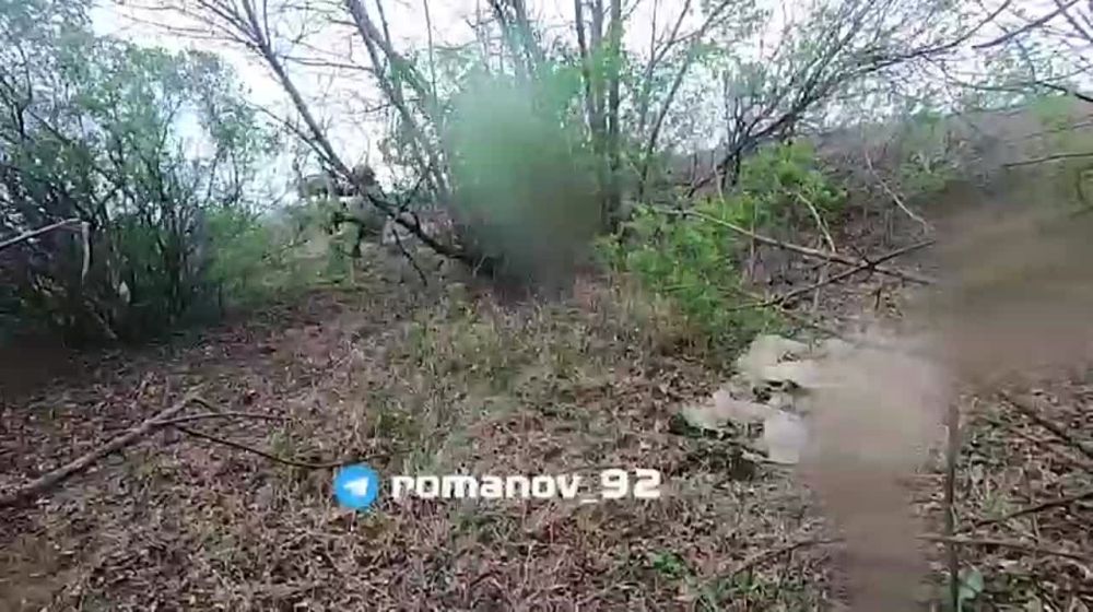 #��������� ������ Romanov ���� �� ����� ����