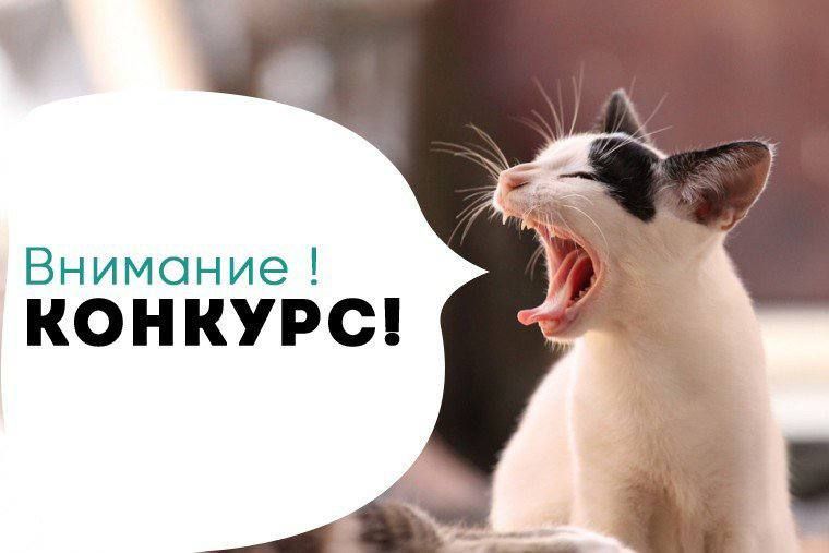 ��������� ����������!. �������� ������ ������ ����������, ��� �� ��������� ���������� ����������� �� ������������� � �������� "������ ���� ������ �������" � �������� 3 ����