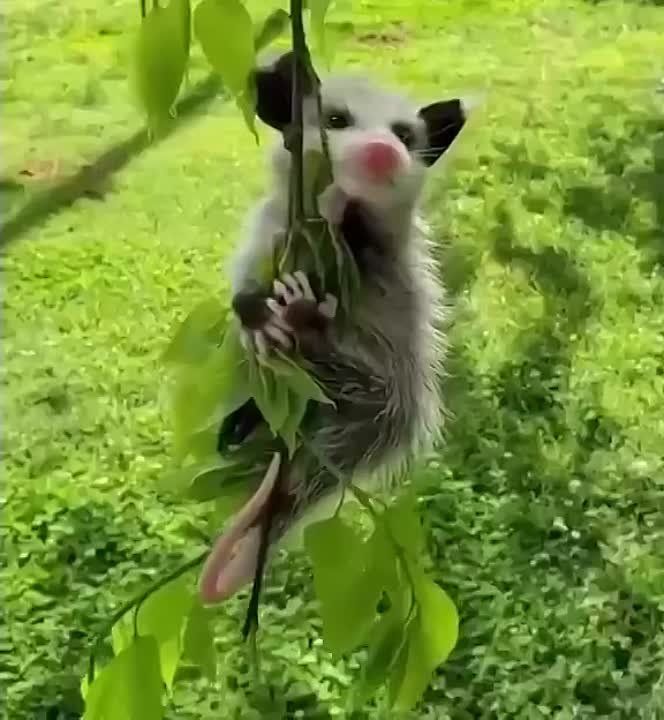������� ������ �� 29 ������