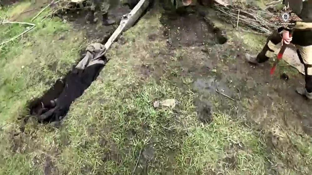������ ����� � ���� ���