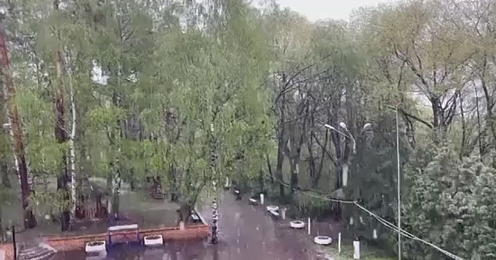 � ����������� ������ ��������� ����