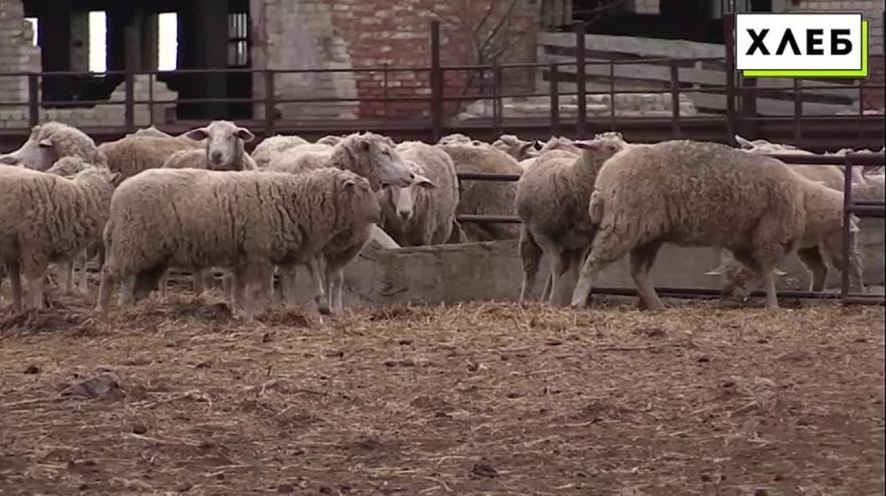 �������� ����������� ������� ����������� �� ��������� ����