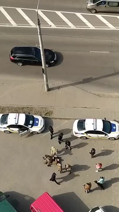 ������������ ����������� ������������