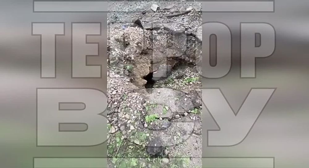����������� �������� ���������� ��������� ������������