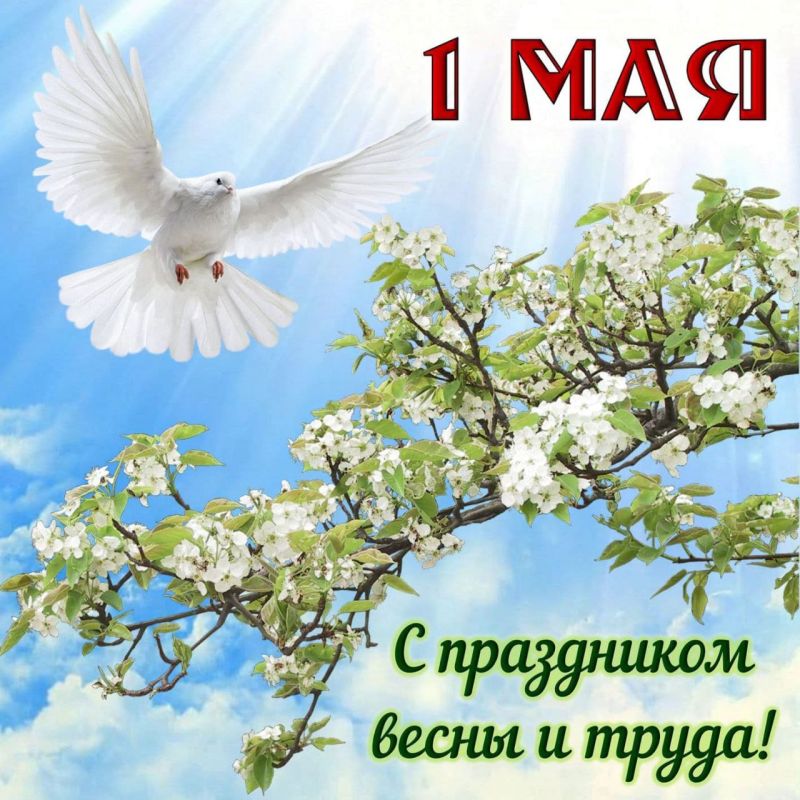 � ���������� ����� � �����, ������!
