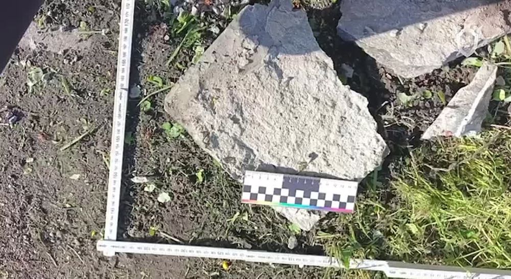 ��������� �� ����� ������������� ���� ��������� � ����������� �������