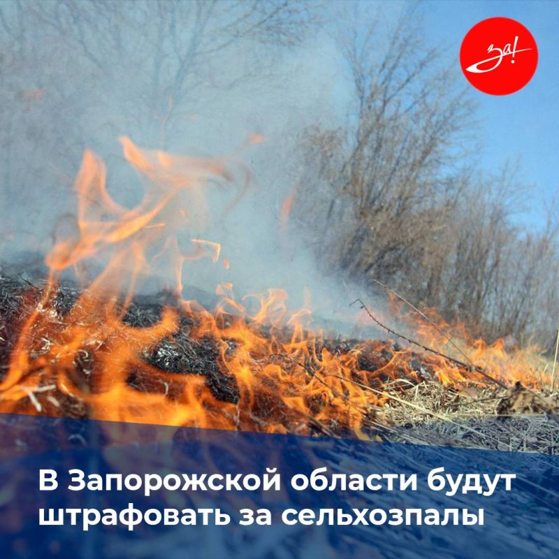 �� ����� �������������� ������ �������� ����� ���� �������� �������������