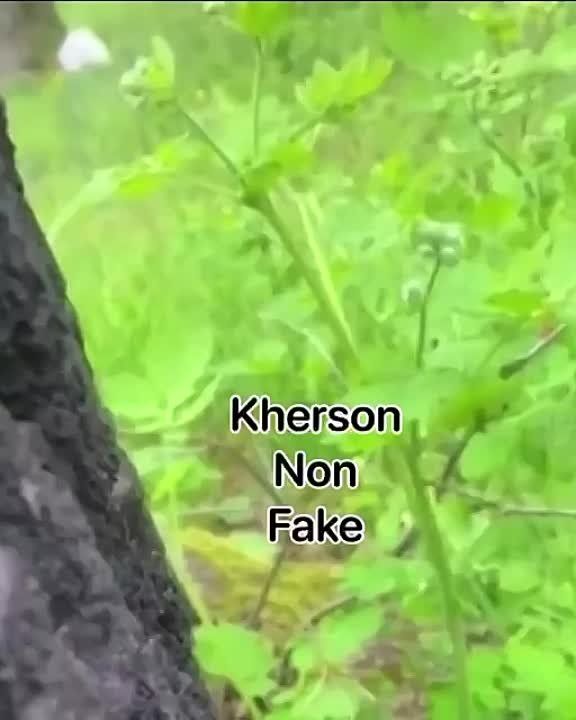 ����� ����� ��������� �����, ��� ����� ������� ���������� ������ � ������� �������� �� �������� � �����
