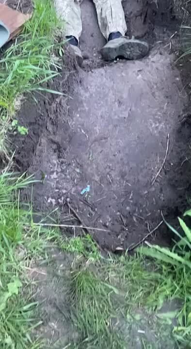 ����������� �����������: ��������� ������� ���������� ������ ���