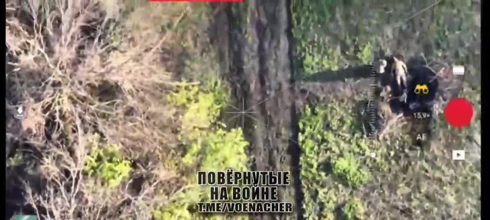 ���������� �� �� ��������� ������ ���